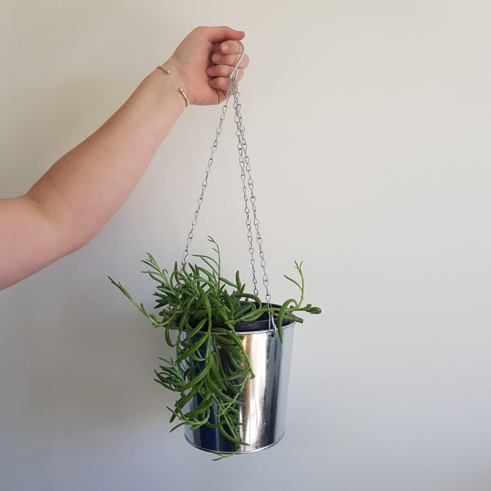 String of Dolphins Hanging Planter