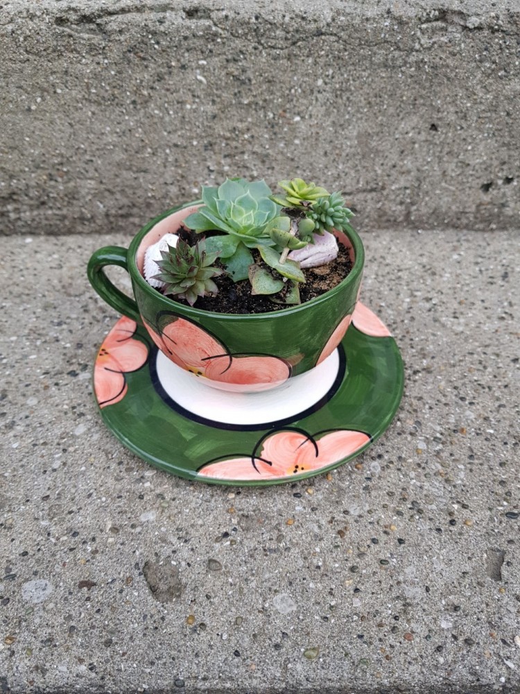 Succulent Planter - Green/pink tea cup