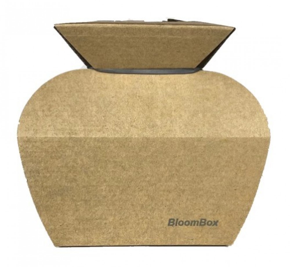 Water Box Kraft Brown/Wrapped Accordingly
