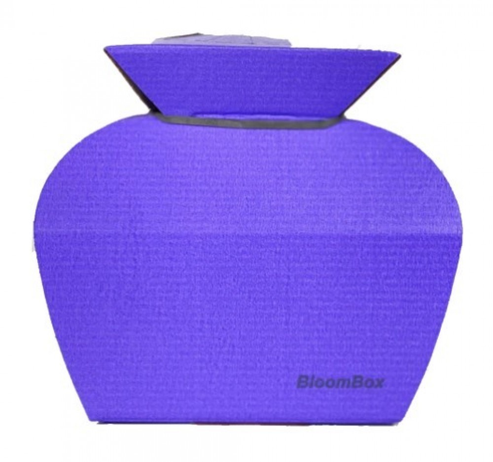 Water Box Purple/Wrapped Accordingly