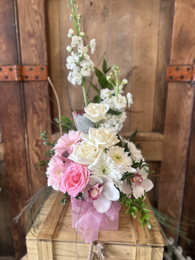 Modern Arrangement - At All For Love Flowers we are delighted to present this beautiful arrangement in water available for delivery in Invercargill.

 

The Contemporary arrangement of pinks and creams is combined with unusual foliageis and is suitable for every occasion.

 

Please note the nature supplying flowers is dependant on the availability to us from the growers. We can most usually supply most flowers but at times  have  to substitute for the next best option. While we can not guarantee the flowers we can guarantee they will be beautiful.

 

Mid range is pictured and delivery for Invercargill is included in the price. If you are wanting a larger bouquet, mid to large range is best to pick. If you require the flowers to be delivered out of town. delivery cost is larger so mid to large range is advised.

 

For same day delivery please order before 2pm for town orders. Out of town orders need to be ordered early to catch the couriers for same day. Some areas will be over night

         Thank you for choosing All For Love Flowers, we strive to do our best for you.