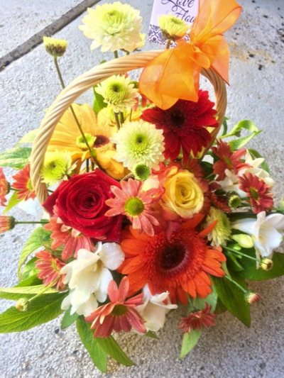 Sun Burst Basket - At All For Love Flowers we are delighted to present this beautiful arrangement in water available for delivery in Invercargill 

A beautiful mix of sunny blooms to brighten up any room. This lovely basket is sure to delight.

Please note the nature supplying flowers is dependant on the availability to us from the growers. 

We can most usually supply most flowers but at times  have  to substitute for the next best option. While we can not guarantee the flowers we can guarantee they will be beautiful.

Mid range is pictured and delivery for Invercargill is included in the price. If you are wanting a larger bouquet, mid to large range is best to pick. If you require the flowers to be delivered out of town. delivery cost is larger so mid to large range is advised. For same day delivery please order before 2pm for town orders. Out of town orders need to be ordered early to catch the couriers for same day. Some areas will be over night

Thank you for choosing All For Love Flowers, we strive to do our best for you.